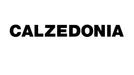 Logo společnosti Calzedonia