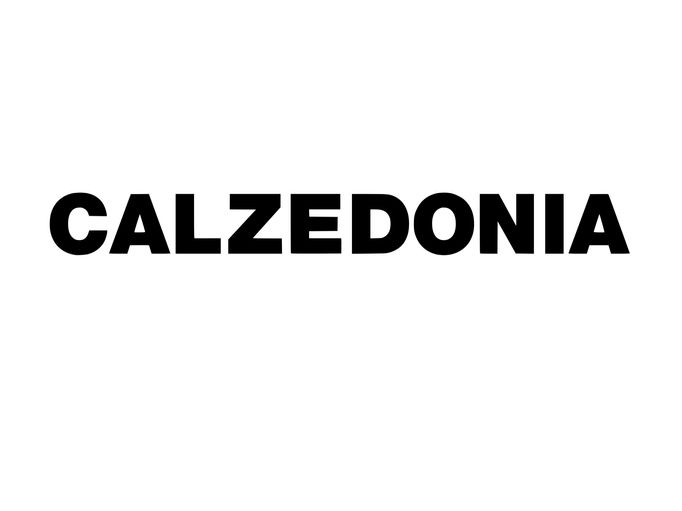 Logo společnosti Calzedonia