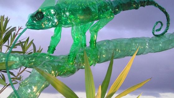 Papoušci i mouchy z PET lahví