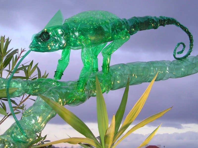 Výstava Zvěrstvo - 12. Chameleon obrovský (Chamaeleo oustaleti) petlahve, výška 33 cm, délka 89 cm (celek 176 cm), 2004