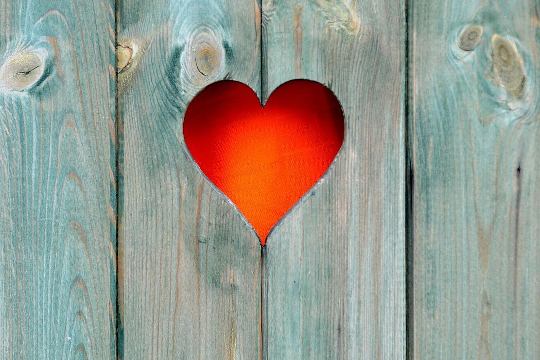 ME tahačů v Mostě: kadibudka