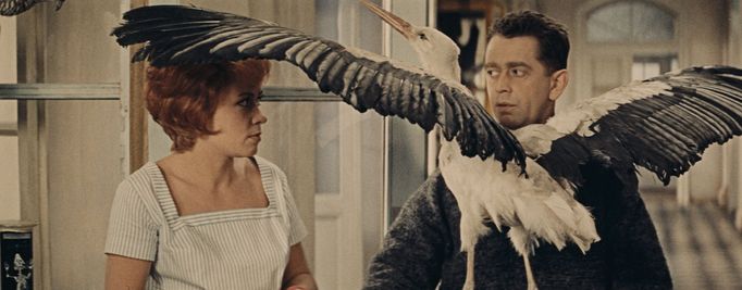 Snímek z Až přijde kocour.