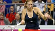 Také Nicole Vaidišová ohlásila svůj comeback k tenisu a dokonce už na kurtech v zámoří zkouší turnaje kategorie ITF. Někdejší světová sedmička to má ale o poznání jednodušší. V současnosti je jí pouhých 25 let, takže pokud vydrží, má mnohem větší šanci na úspěch.