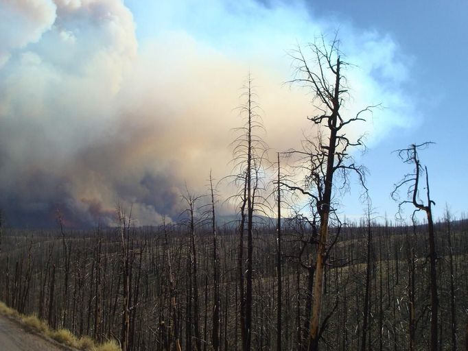 Smoke is pictured billowing form the site of wildfires at the Whitewater-Baldy Complex insouthwestern New Mexico in the Gila National Forest in this May 24, 2012 handout photo obtained by Reuters May 27, 2012. The Whitewater-Baldy Complex fire, started by a lightning strike, has been burning out of control for 11 days, destroying more than 82,252 acres (33,286 hectares) and prompting officials to issue evacuation orders in nearby communities. REUTERS/U.S. Forest Servic/Handout (UNITED STATES - Tags: ENVIRONMENT DISASTER) FOR EDITORIAL USE ONLY. NOT FOR SALE FOR MARKETING OR ADVERTISING CAMPAIGNS. THIS IMAGE HAS BEEN SUPPLIED BY A THIRD PARTY. IT IS DISTRIBUTED, EXACTLY AS RECEIVED BY REUTERS, AS A SERVICE TO CLIENTS Published: Kvě. 27, 2012, 5:32 odp.