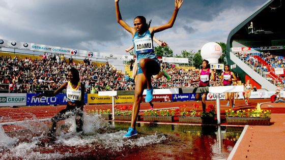 Podívejte se na nejhezčí sportovní fotky roku 2014 očima fotografů Aktuálně.cz.