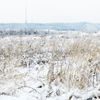 Jednorázové užití / Fotogalerie / Už 60 let vysílá a stále udivuje. Fotky z historie televizního vysílače Cukrák