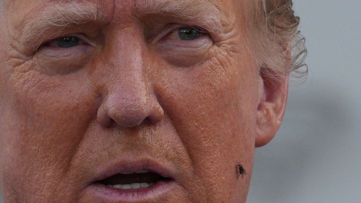 "Veřejné nervové zhroucení." Trump neví, jak na Harrisovou, zesiluje osobní útoky
