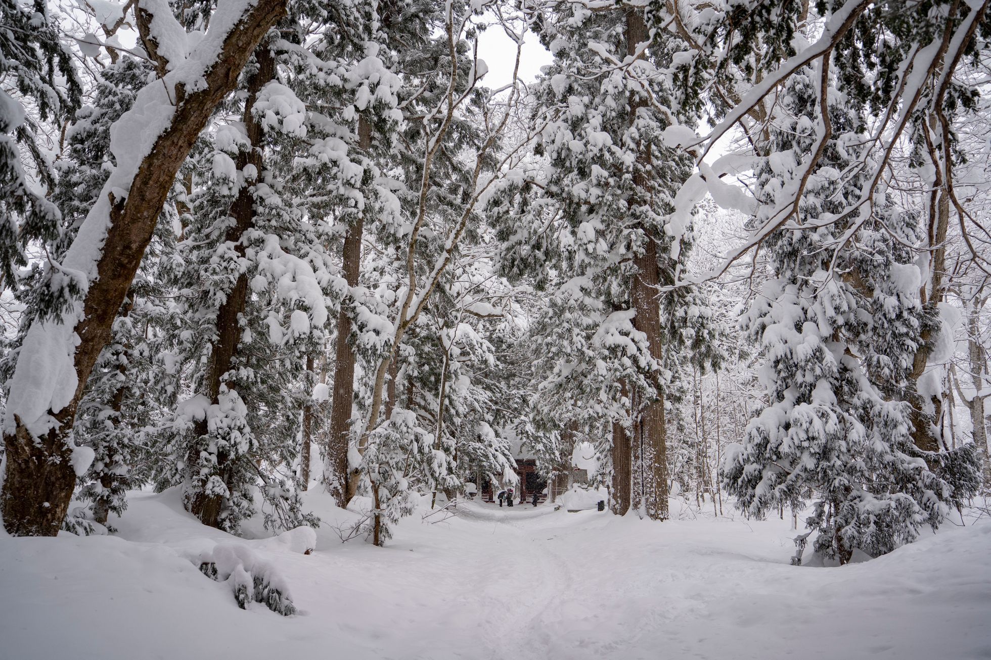 japonsko lyžování hakuba