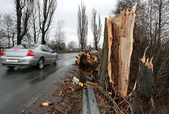 Silnici k Březohradu lemuje stále několik vyvrácených stromů.