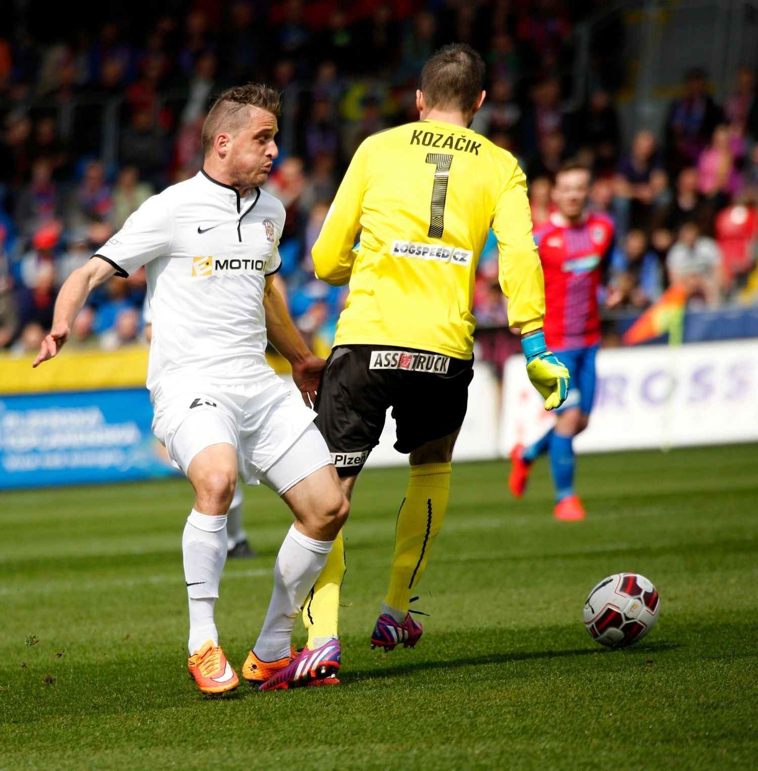 SL, Plzeň-Brno: Matúš Kozáčik - David Pašek (25)