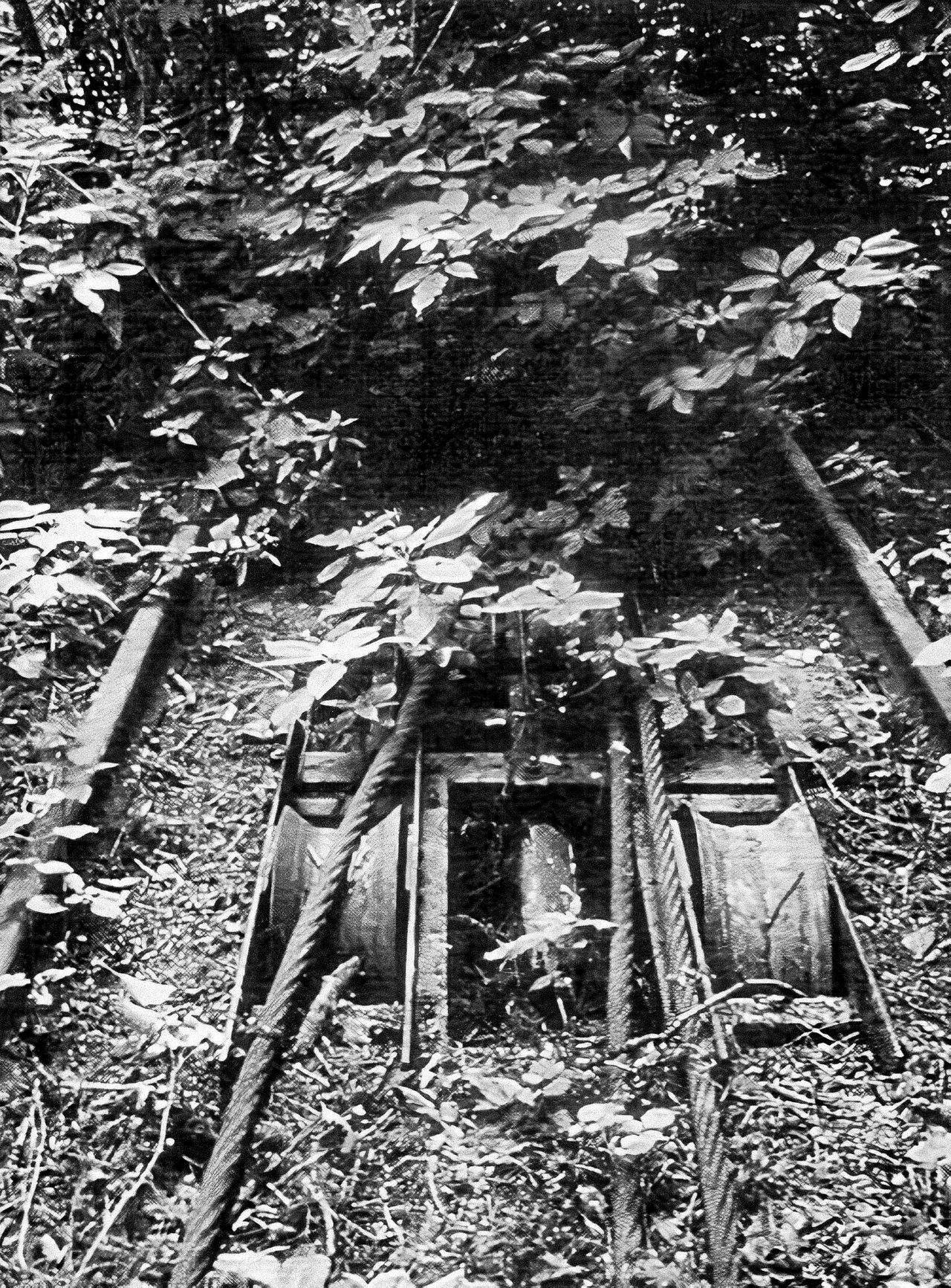 Lanová dráha na Petřín, historie, Praha, MHD, lanovka, Petřín, Domácí
