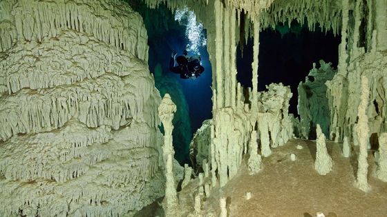 Unikátní objev českých speleologů v Mexiku