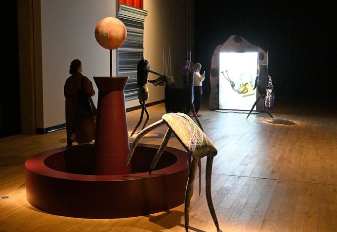 Snímek z výstavy Space of Desire.