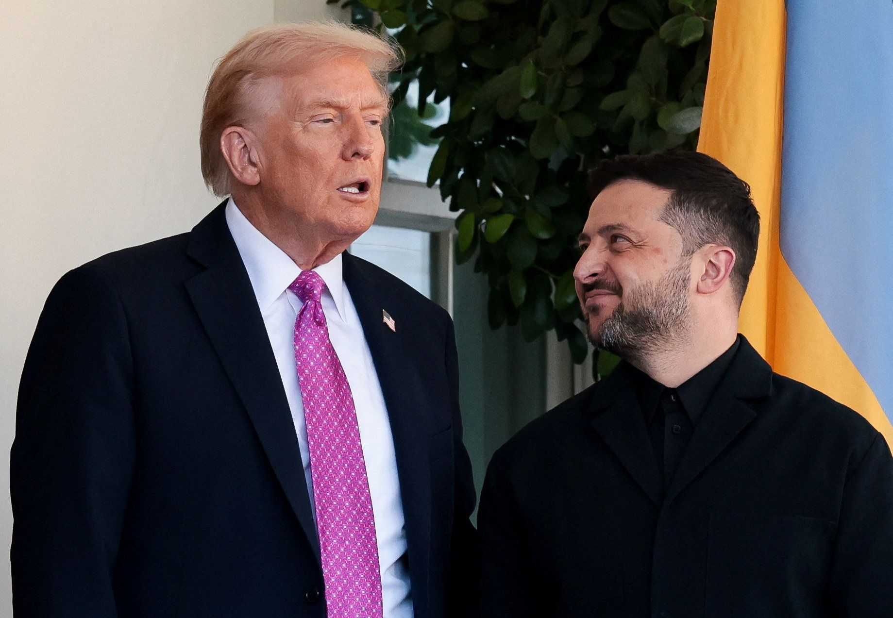 Donald Trump, Volodymyr Zelenskyj