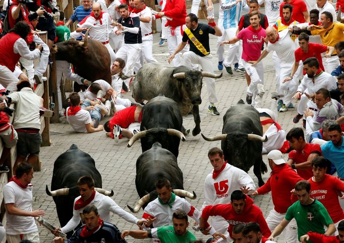 Fiesta San Fermína začíná každý den během býků, kteří se řítí ulicemi Pamplony k aréně.