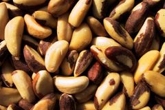 Celníci zadrželi tuny závadných para ořechů z Bolívie