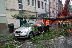 Bouřky v Moravskoslezském kraji lámaly větve a stromy