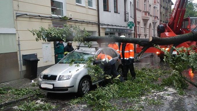 Bouřky v Moravskoslezském kraji lámaly větve a stromy ...