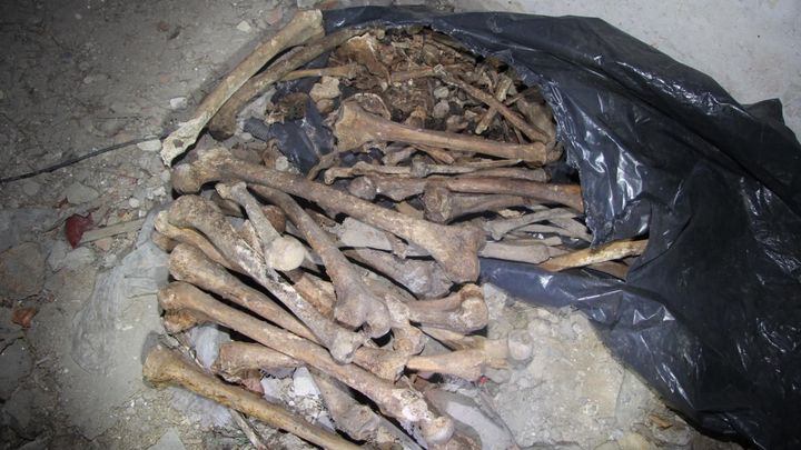 Na Písecku se našlo jedenáct lidských lebek, v opuštěné budově pak tři pytle s kostmi