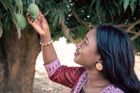 Malijská podnikatelka vyrábí džusy z liány i baobabu. Mladou ženu inspirovaly příběhy babičky