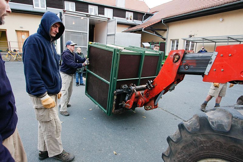 Nový orangutan v pražské zoo