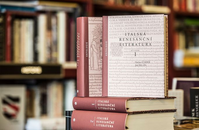 Obal knihy Italská renesanční literatura.