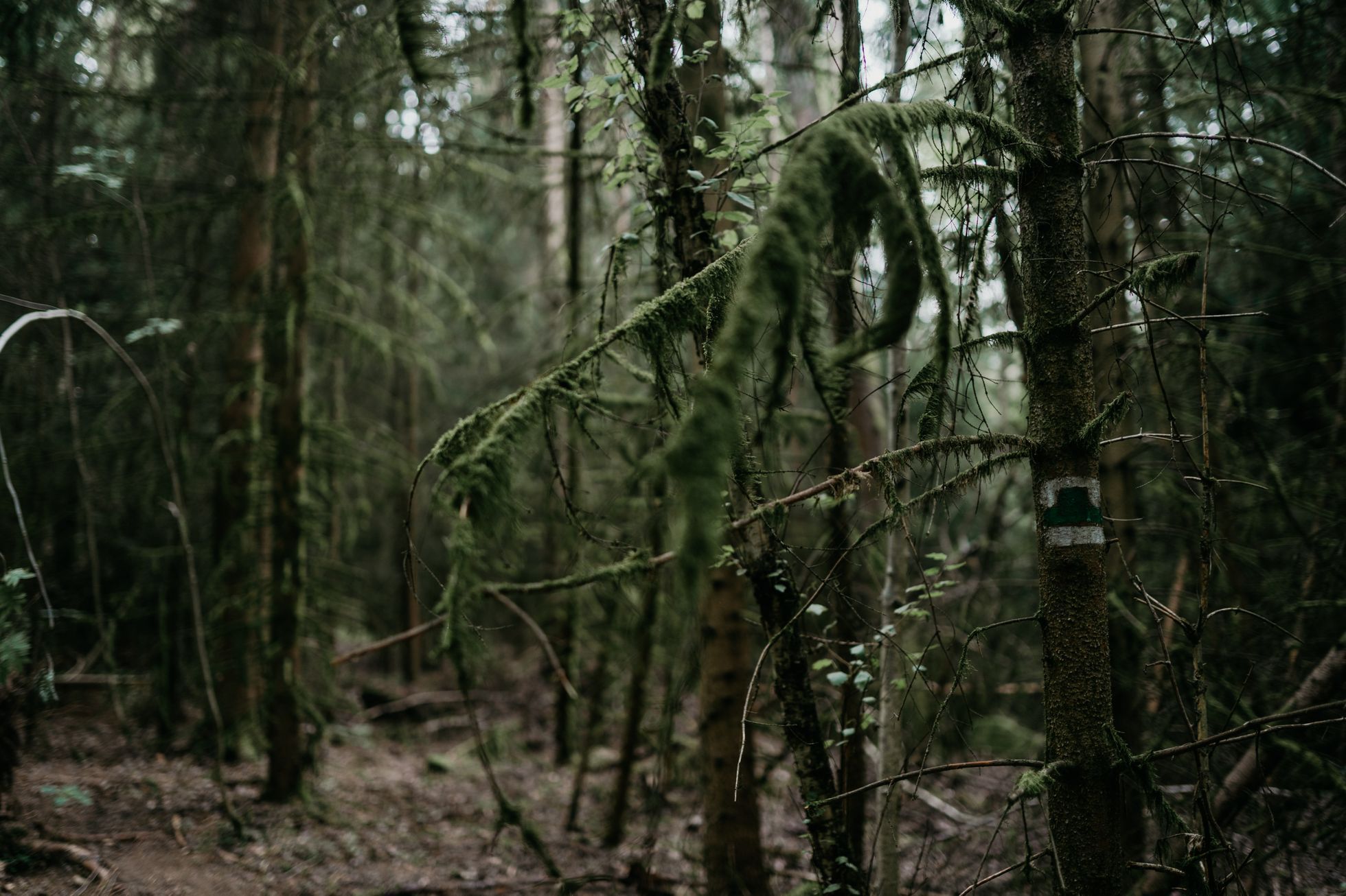 Lipnice nad Sázavou Památník Odposlechu