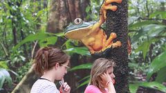 Zvířata na náměstí