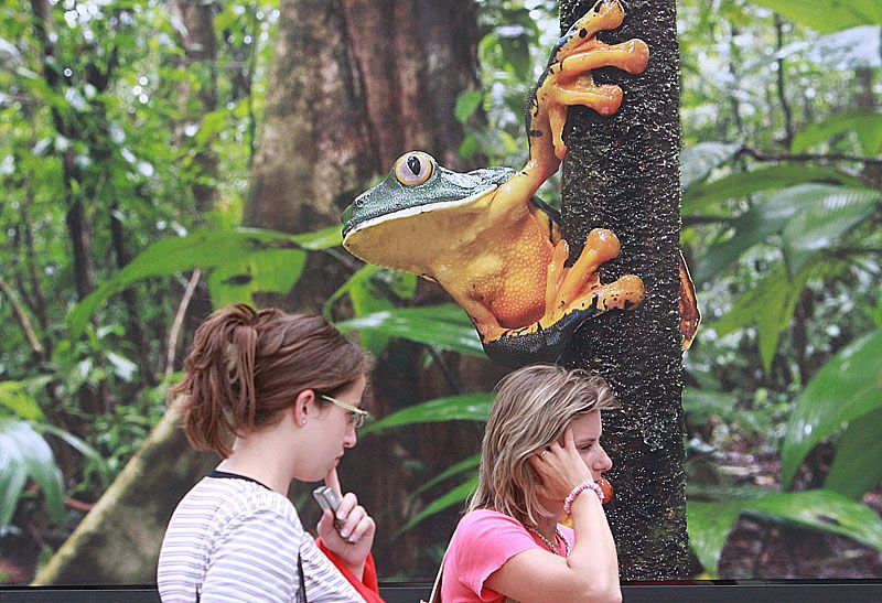 Zvířata na náměstí