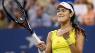 Momentálně patří Srbce dvanáctá příčka v žebříčku WTA, ovšem před čtyřmi lety (červen 2008) byla dokonec světovou jedničkou. Na piedestalu ženského tenisu vydržela ovšem jen devět týdnů, tedy dva měsíce.