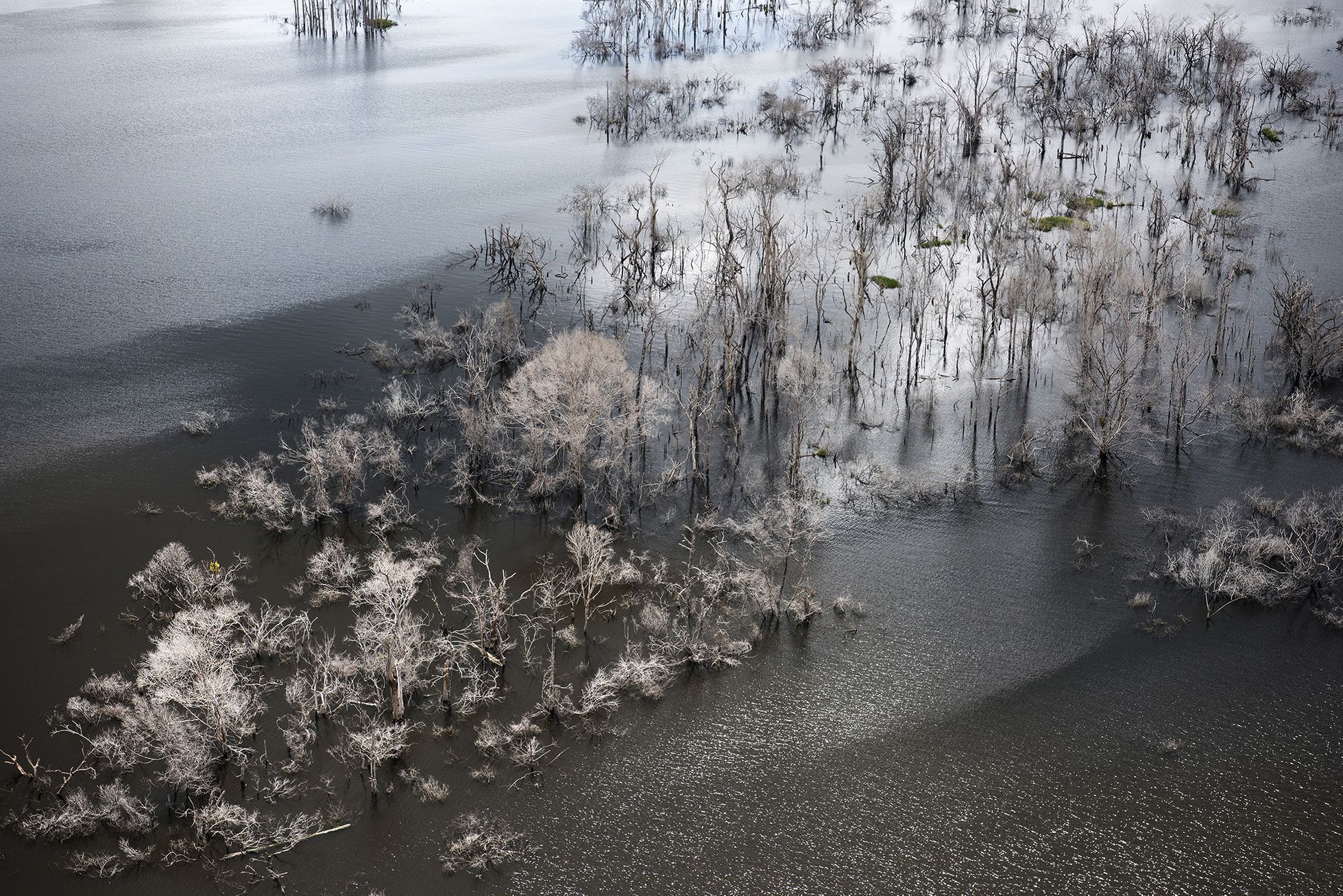World Press Photo - nominace v kategorii Životní prostředí