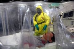 Minister: Czech Rep is ready for possible Ebola outbreak