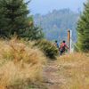 Národní park Šumava 24.9. 2015 - Tk o kůrovci