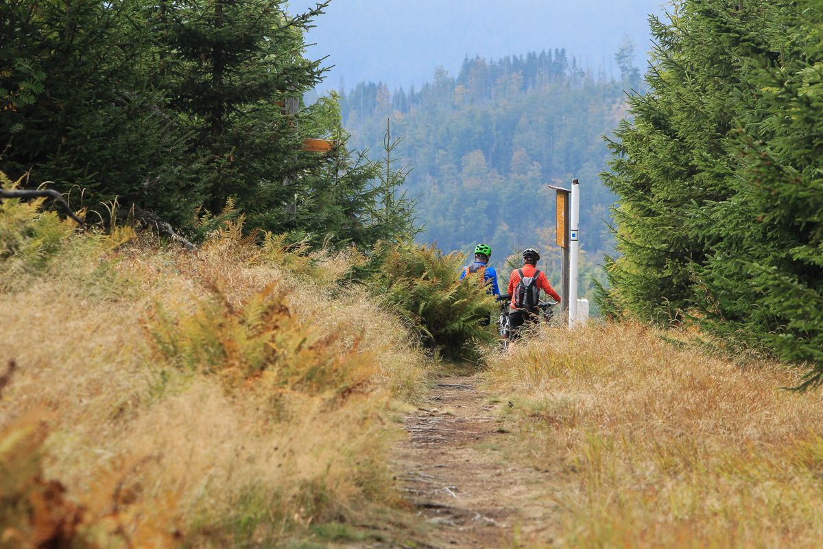 Národní park Šumava 24.9. 2015 - Tk o kůrovci