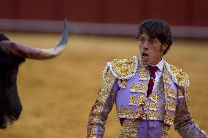 Spanish matador Nazare looks at a bull after being gored by it during a bullfight in Seville