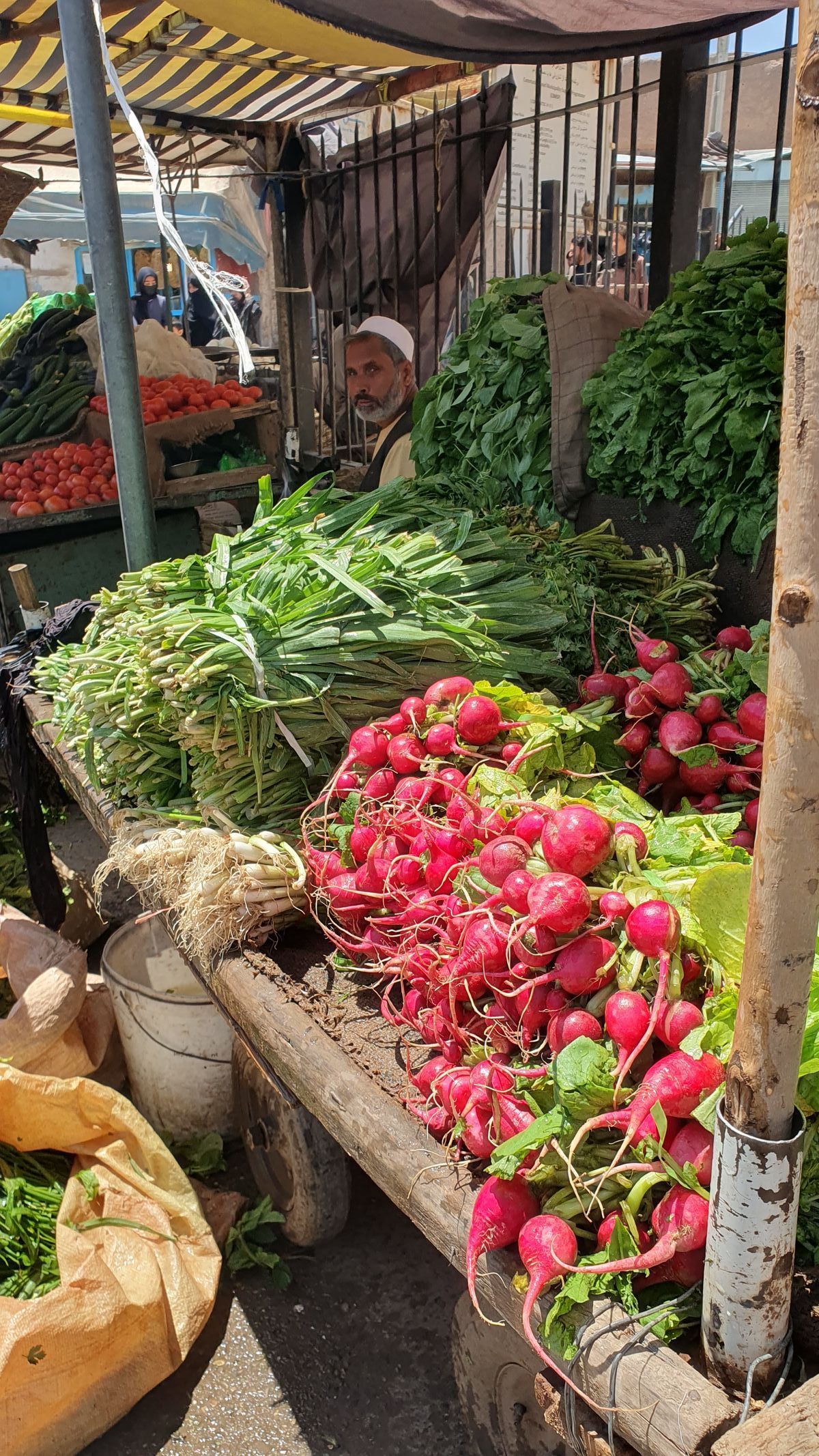 Fotky Ilony Bittnerové z Afghánistánu