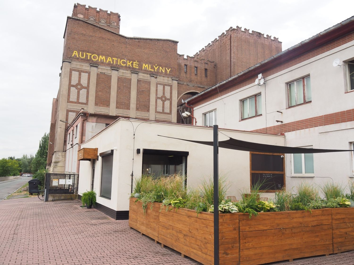 Zmrzlina Zaječice -  Epifany patisserie