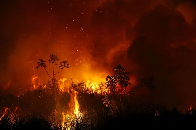 V Brazílii hoří největší mokřad světa Pantanal.