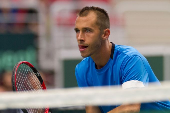 DC, Česko-Francie čtyřhra: Lukáš Rosol