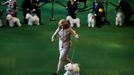 Westminster Kennel Club's Dog Show v New Yorku