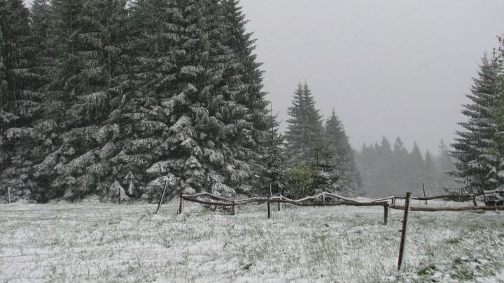 Na Šumavě naměřili ráno minus 29 stupňů Celsia, v dalších dnech se mírně oteplí; Zdroj foto: Václav Vostradovský