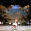 Balet na bruslích - Labutí jezero