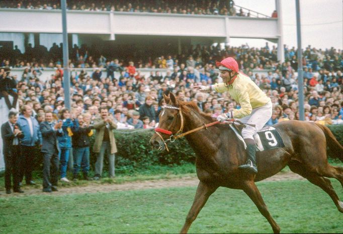 Vítězný kůň Železník s žokejem Josefem Váňou po triumfu ve 99. ročníku Velké pardubické, který se konal 8. října 1989.