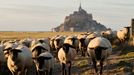 Klášter Mont-Saint-Michel ve francouzské Normandii byl postaven před 1000 lety.