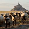 Mont-Saint-Michel francie klášter ostrov