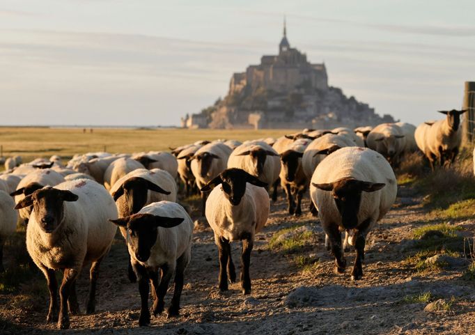 Klášter Mont-Saint-Michel ve francouzské Normandii byl postaven před 1000 lety.