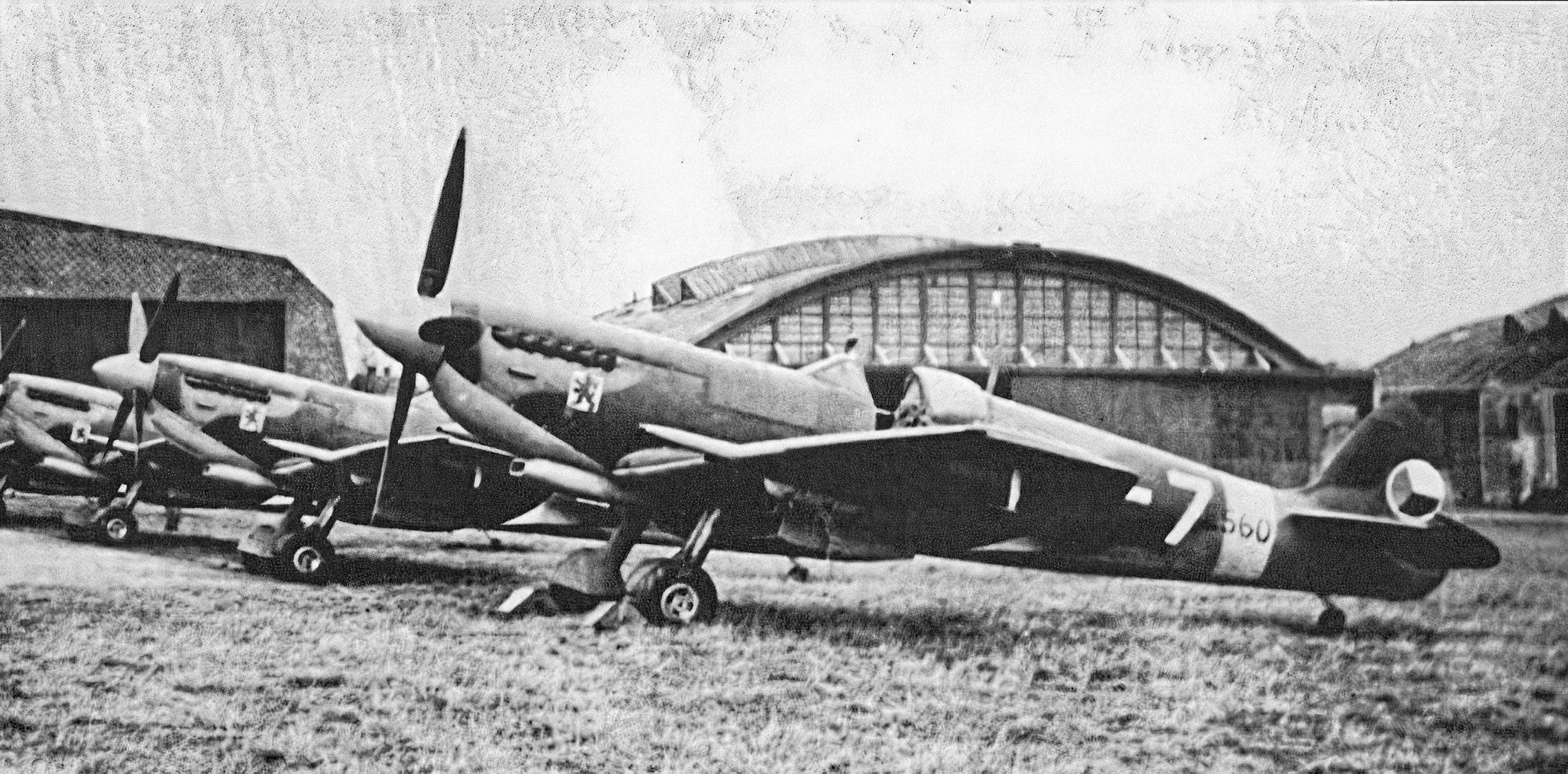 Supermarine  Spitfire  Mk. IX / S-89, československé letectvo, Domácí