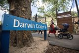 Právě o uplynulém víkendu se totiž otevřel nový pavilon Darwinův kráter, věnovaný fauně (a zčásti i floře) Austrálie a jejího největšího ostrova Tasmánie.