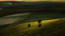 Rozkvetlé louky v okolí Castelluccia di Norcia, Itálie