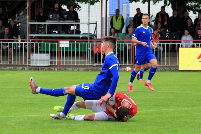 Fotbalisté Pardubic slaví postup do první ligy